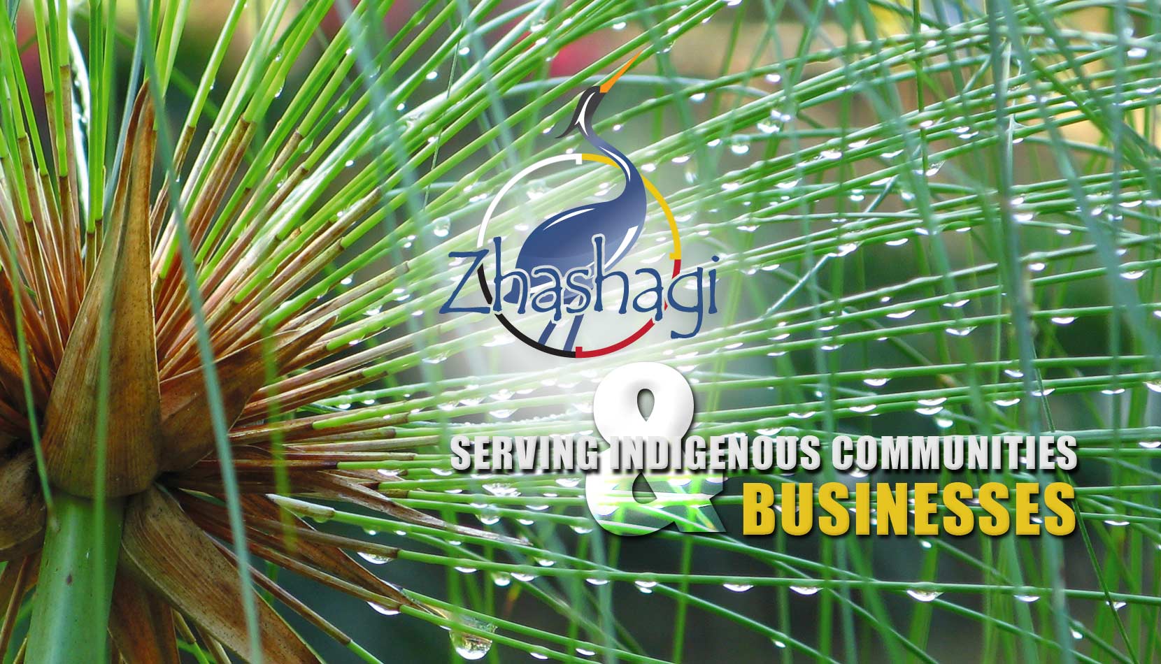 Zhashagi is Serving Indigenous Communities and Businesses